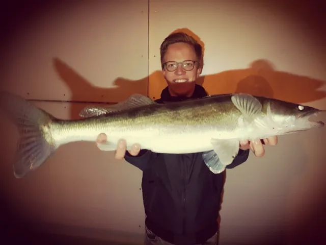 Zander