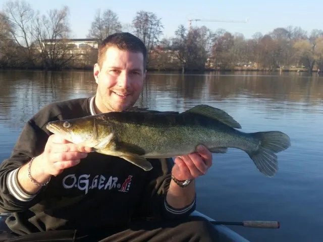 Zander