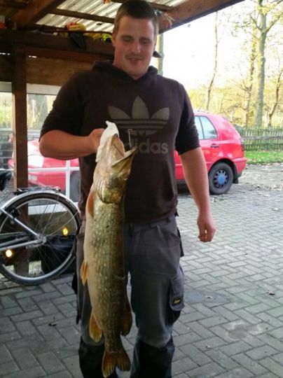 Hecht