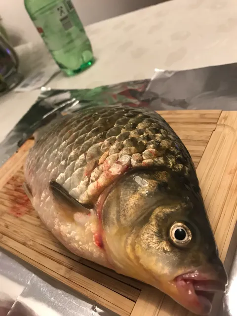 Karausche