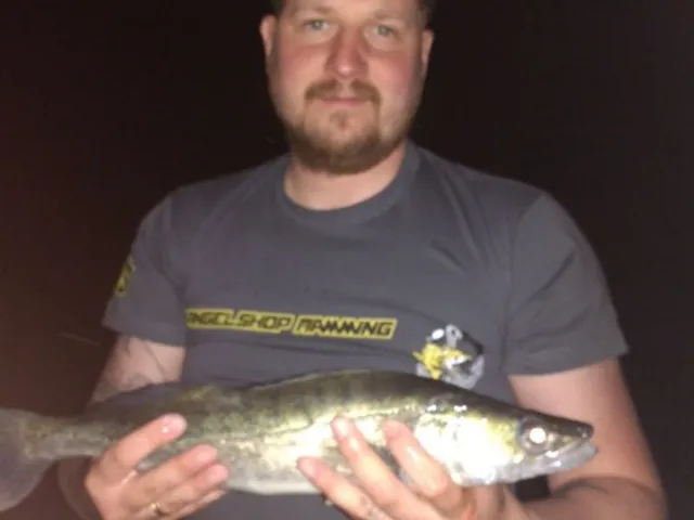 Zander