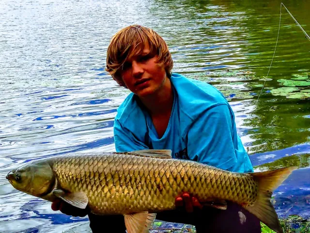 Graskarpfen