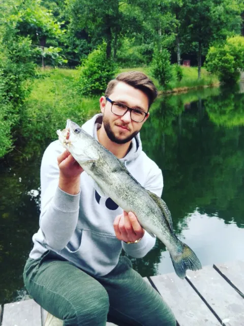 Zander