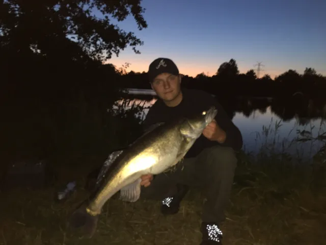 Zander