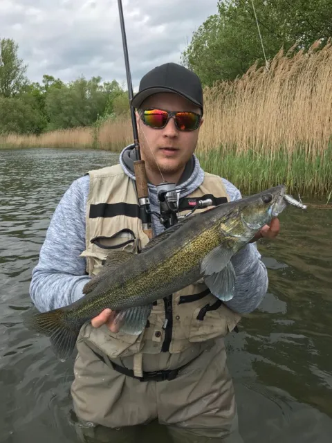Zander