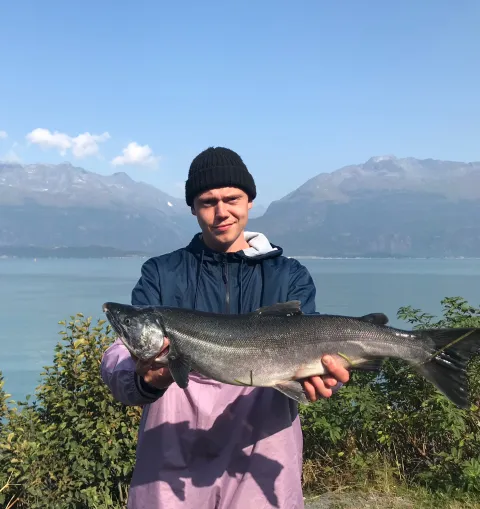Lachs