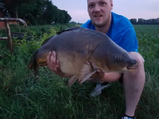 Karpfen