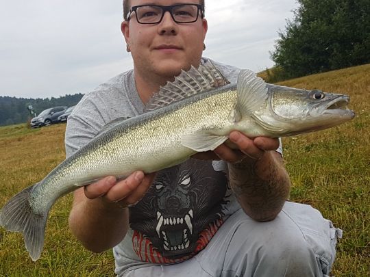 Zander
