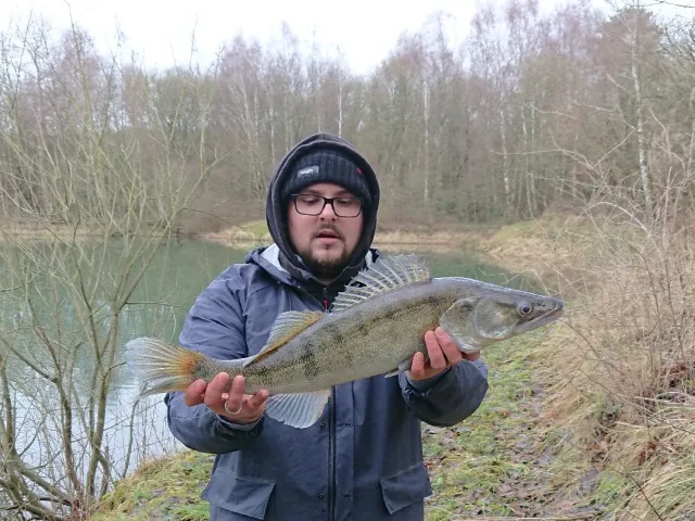 Zander