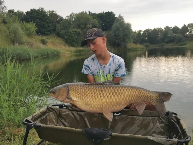 Graskarpfen