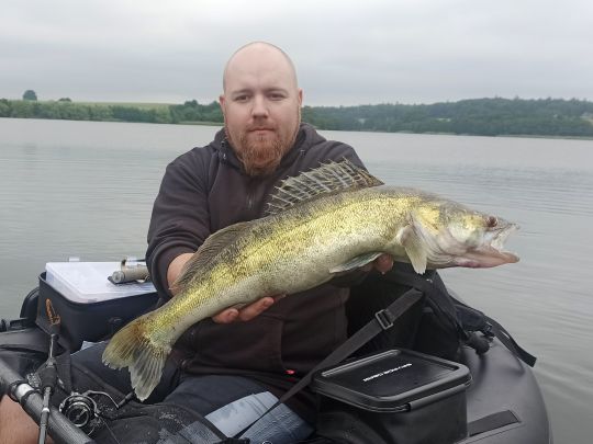 Zander