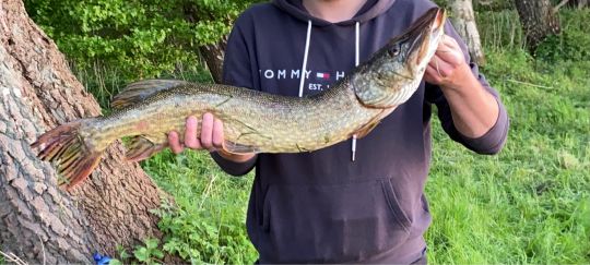 Untere Barthe (Barth) | ALLE ANGELN