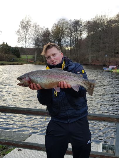 Regenbogenforelle