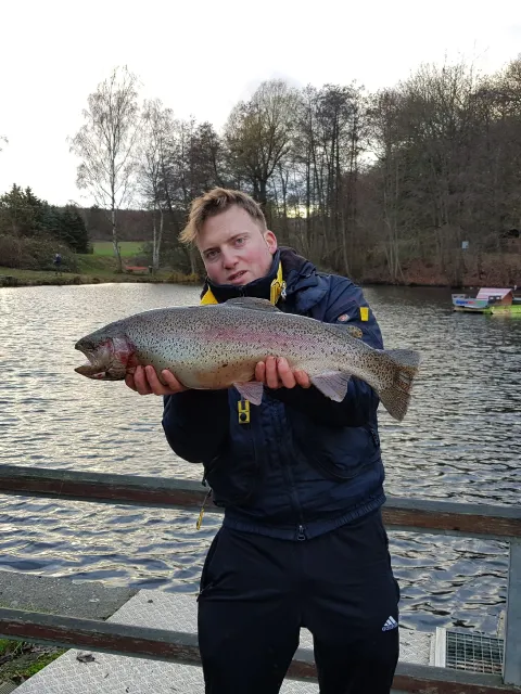 Regenbogenforelle