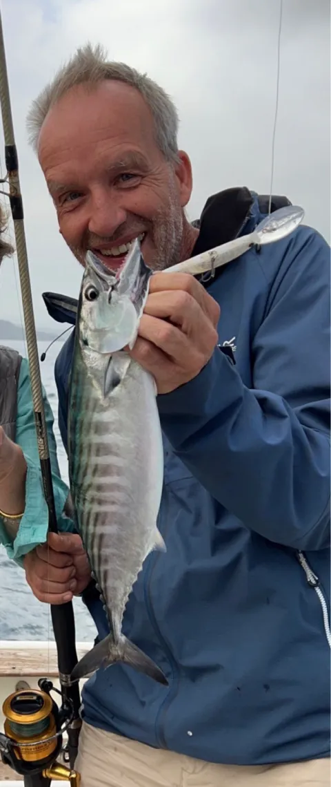 Bonito