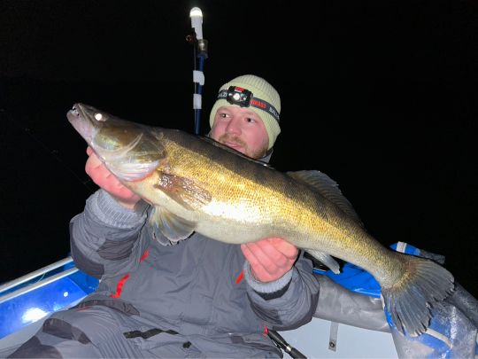 Zander