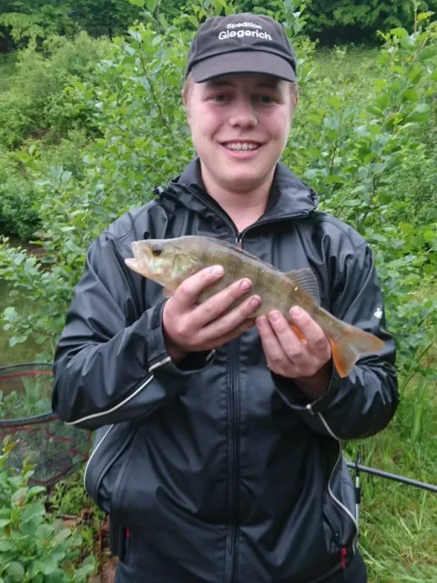 Flussbarsch