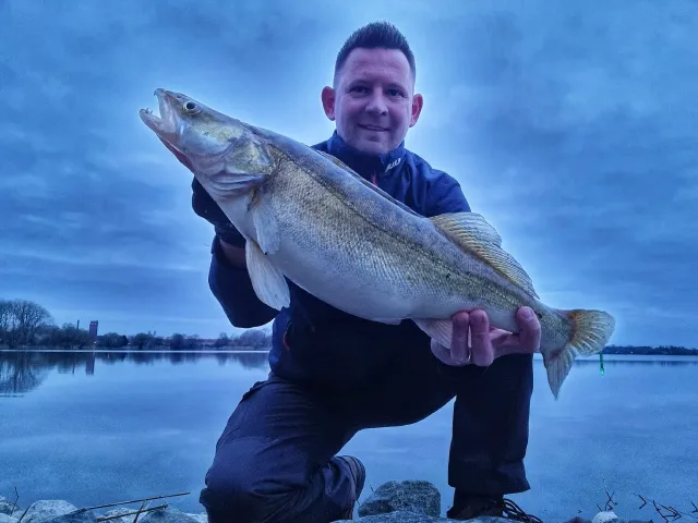 Zander
