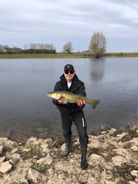 Zander