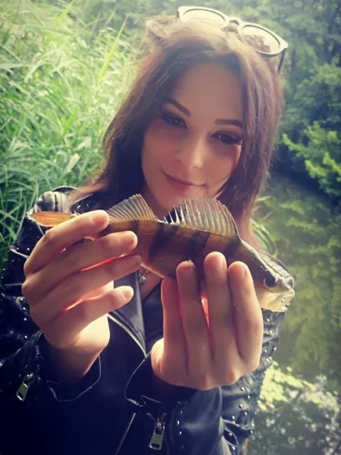 Flussbarsch