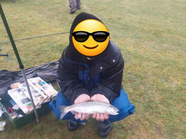 Regenbogenforelle