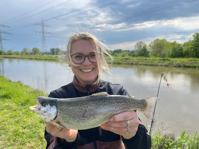 Regenbogenforelle