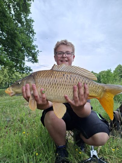 Karpfen