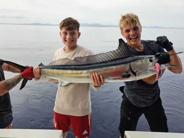 Marlin