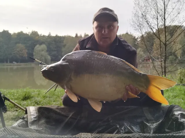 Karpfen