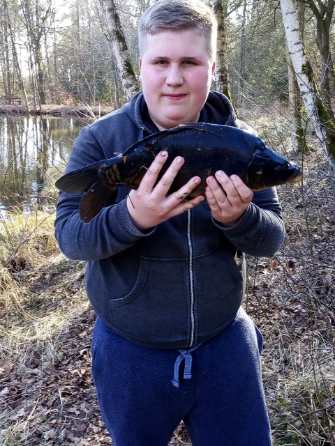 Karpfen