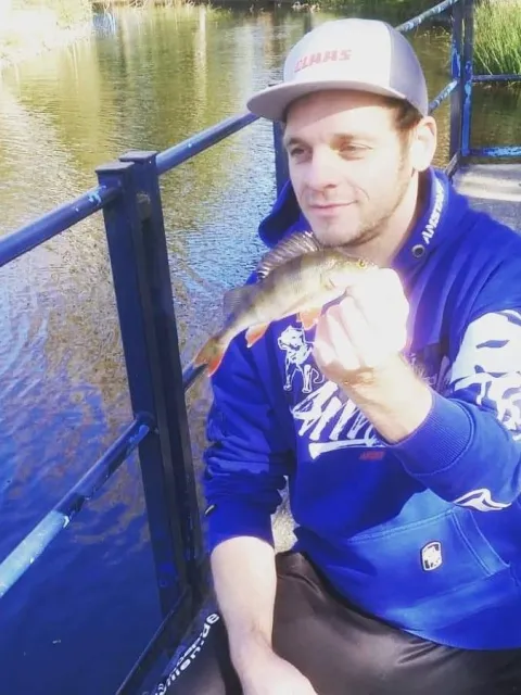 Flussbarsch