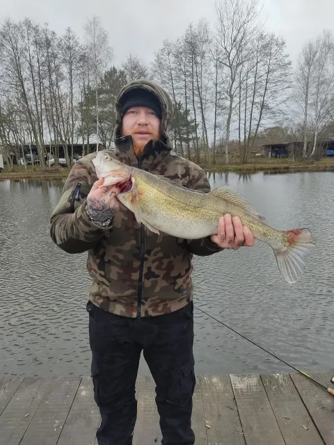 Zander