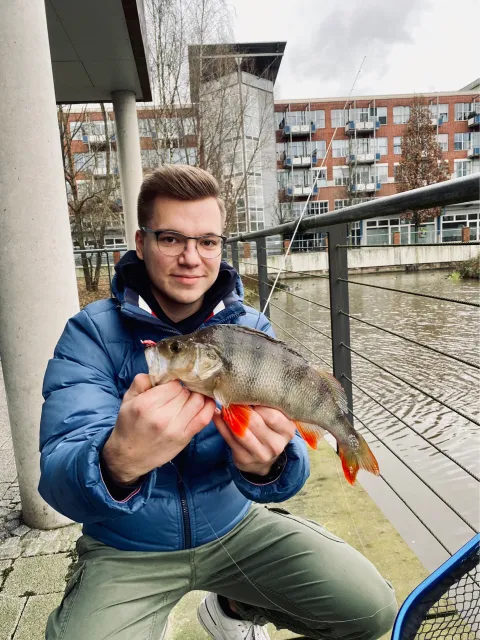 Flussbarsch