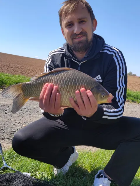 Giebel