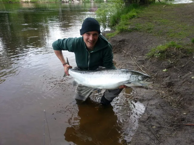 Lachs