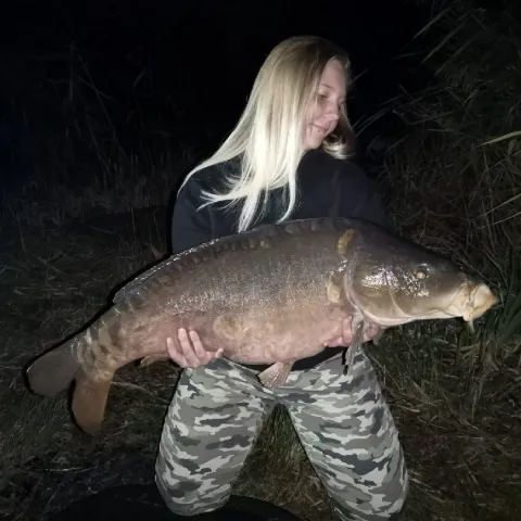 Karpfen