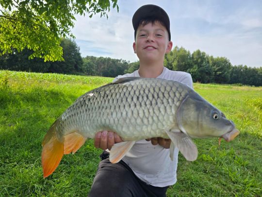 Karpfen