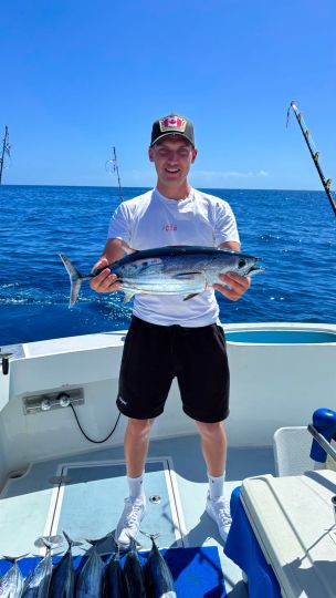 Bonito-2