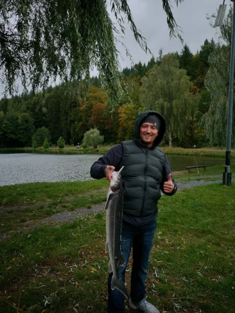 Stör
