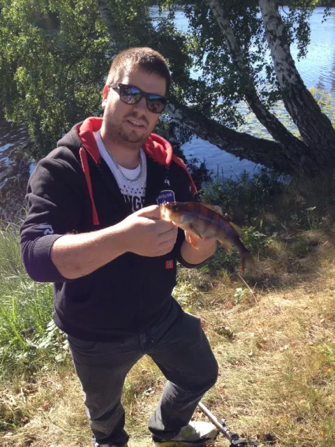 Flussbarsch
