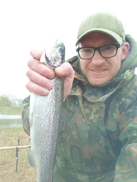 Regenbogenforelle