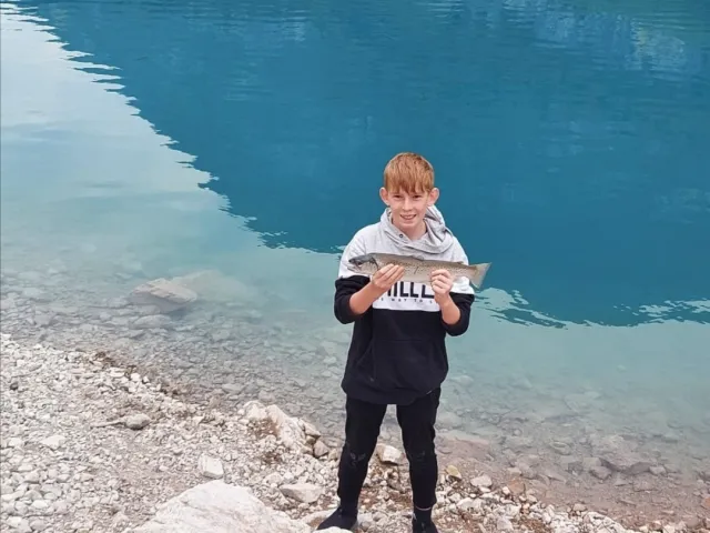 Seeforelle