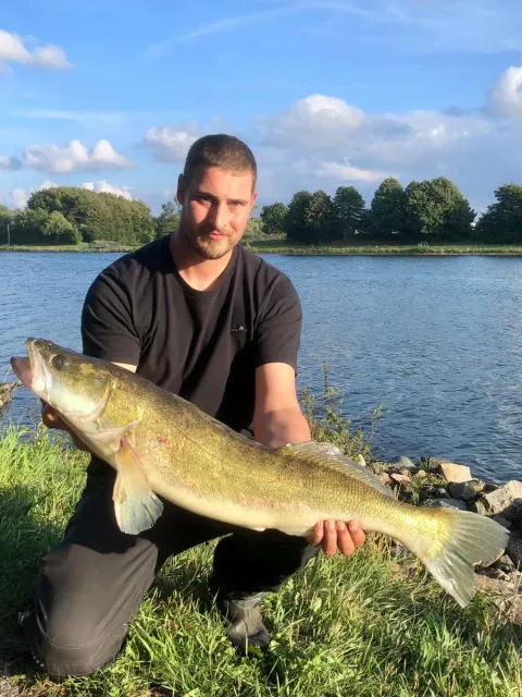 Zander