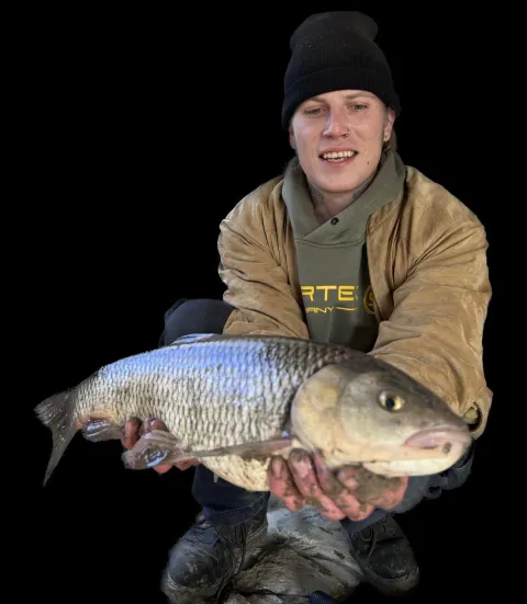 Döbel
