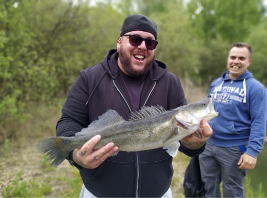 Zander