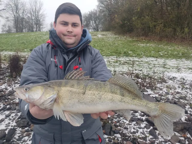 Zander