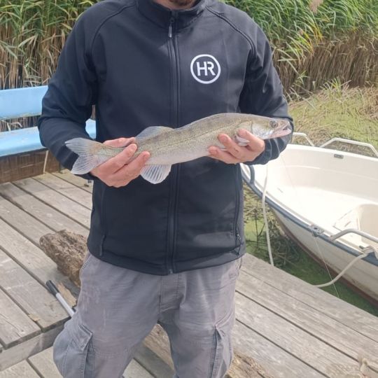 Zander-5