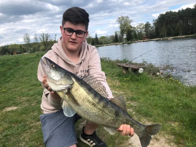 Zander