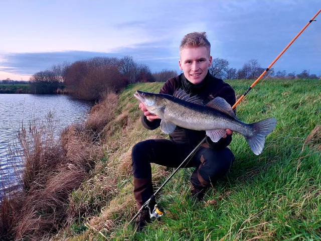 Zander