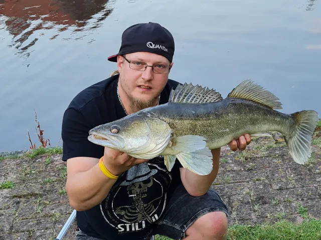 Zander